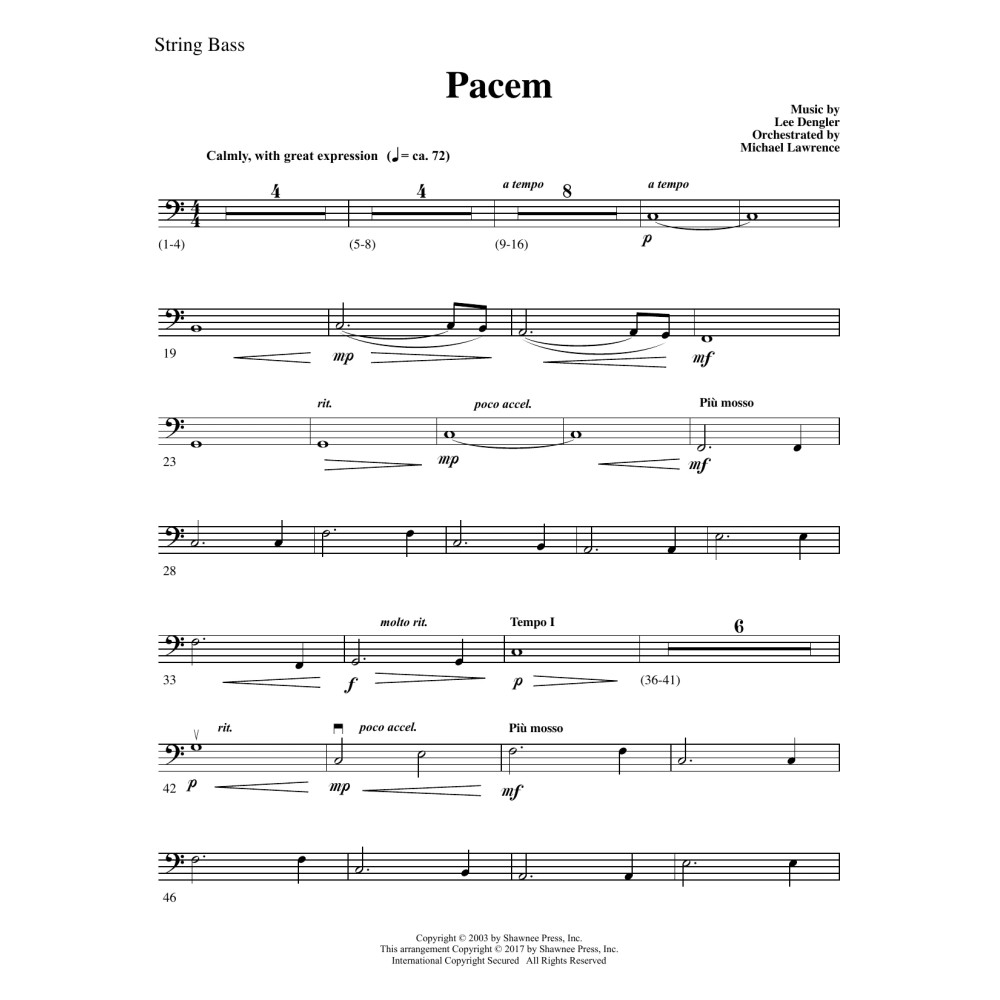 Pacem - String Bass